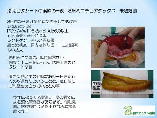 冷えピタシート誤飲.jpg